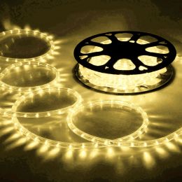 LED Rope Light 150ft Warm White