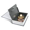 Dictionary Safe Secret Diversion Book Metal Box with Key Lock Enough Capacity