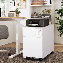 Hforesty 2 Drawer Mobile File Cabinet with Lock Metal Filing Cabinet for Legal/Letter/A4/F4 Size, Fully Assembled Include Wheels, Home/Office Design (Color: White)