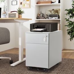 Hforesty 2 Drawer Mobile File Cabinet with Lock Metal Filing Cabinet for Legal/Letter/A4/F4 Size, Fully Assembled Include Wheels, Home/Office Design (Color: Grey)